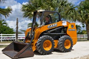 bobcat 3248721 1920