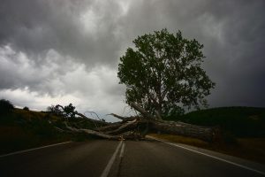 PD: oAliArJAlno, Unsplash