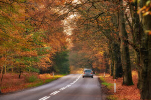 Fall is New Jerseys Riskiest Season To Drive