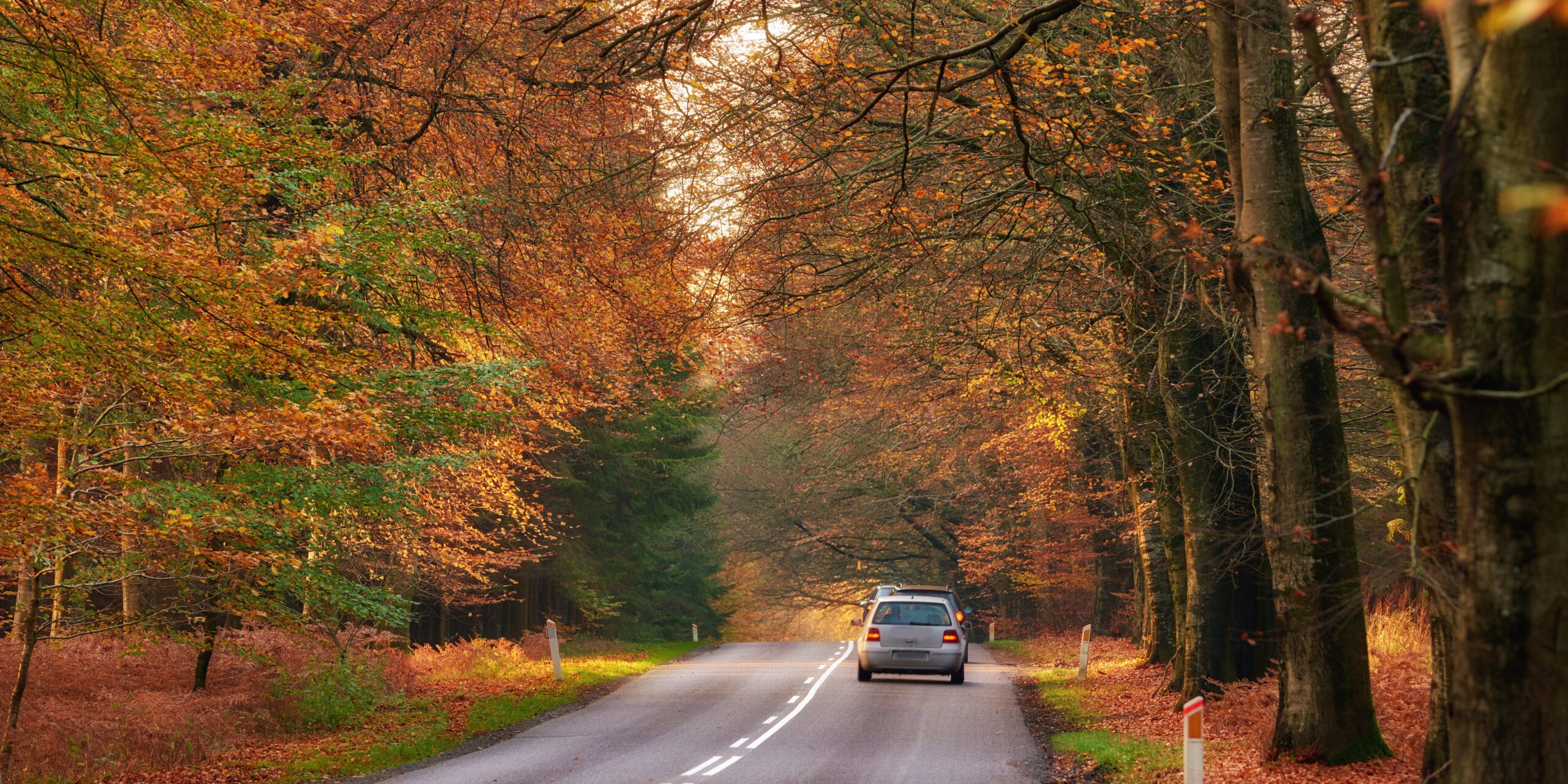 A recent study by Carfax shows that the most dangerous season on New Jersey roads isn’t winter. It’s fall.