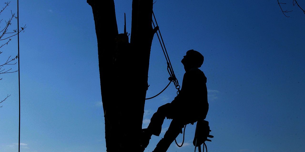 workers' compensation lawyer